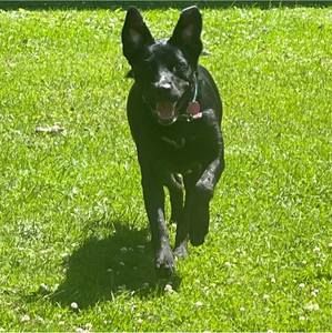 Meet your Posher, Caroline